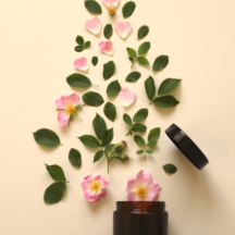 Image bio rose hip