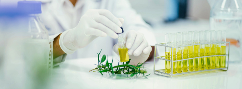 Regulatory and Safety Considerations for organic essential oils