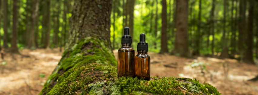 Understanding Essential Oils: Nature’s Complex Mixtures