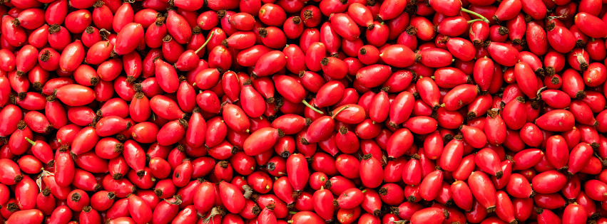 Innovative uses of rosehip press cake fiber in food products