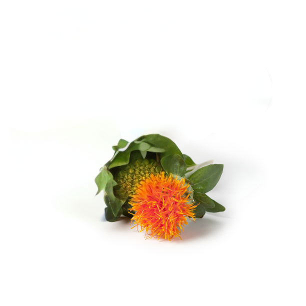 Image for legal notice section