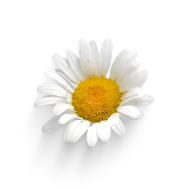 Image for legal notice section