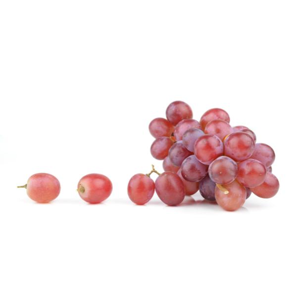 Image for legal notice section