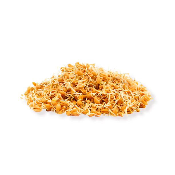 Image for legal notice section