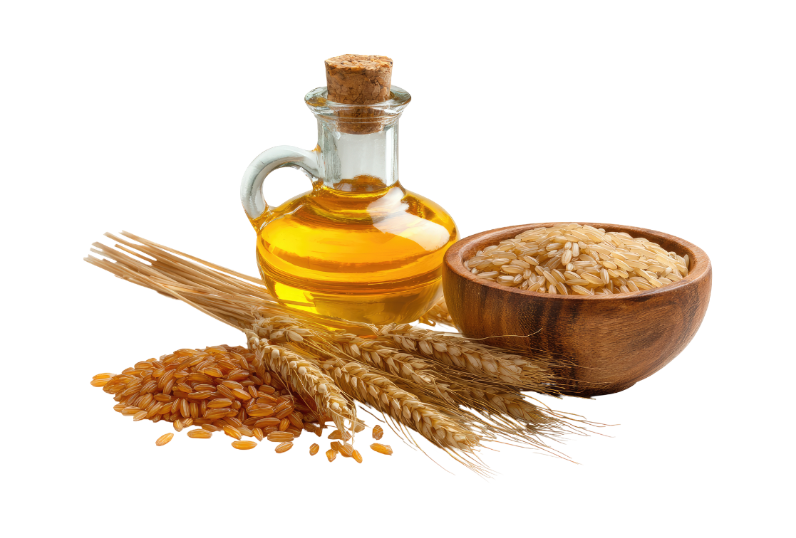 Image Wheat Germ Oil ORGANIC