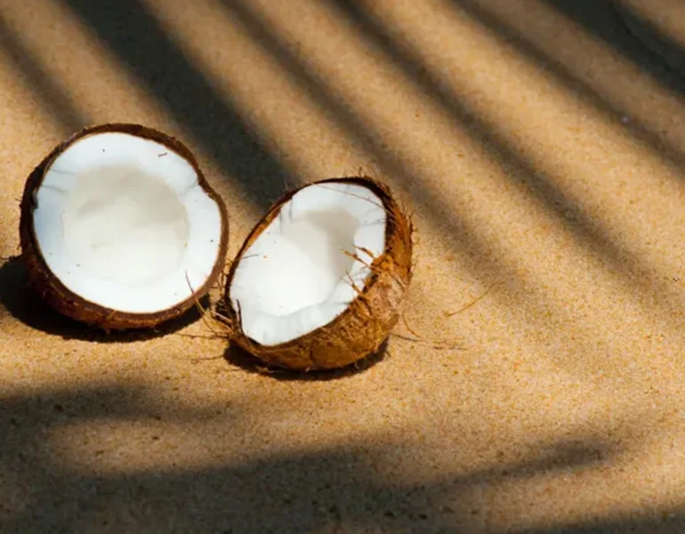 Image Kokosöl BIO raffiniert